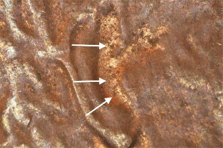 Image 22