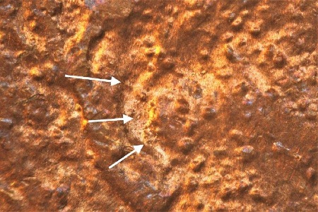 Image 30