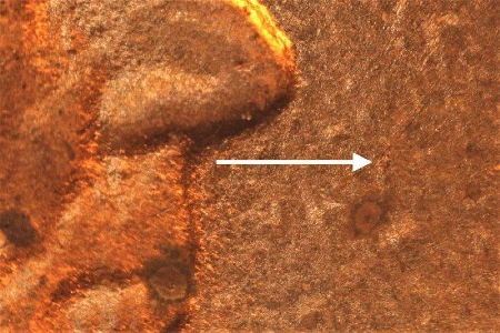 Image 13