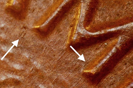 Image 14