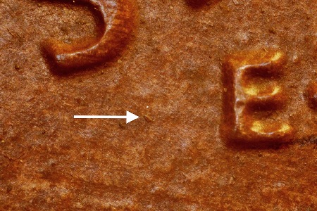Image 17