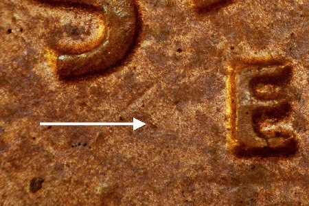 Image 27