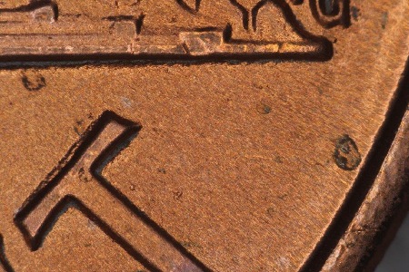 Image 16