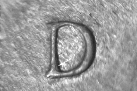 Image 18