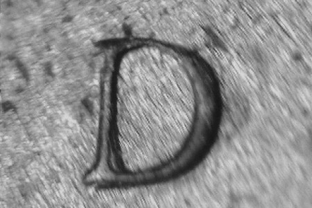 Image 21