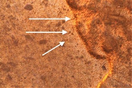 Image 15