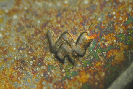 Image 6
