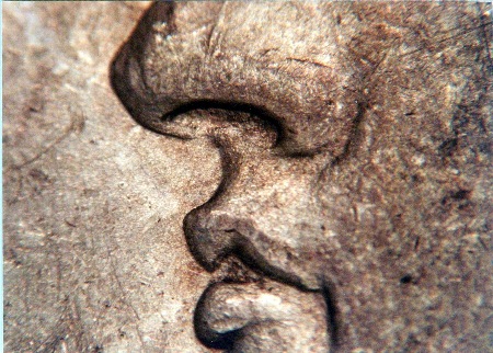 Image 14