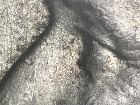 Image 17