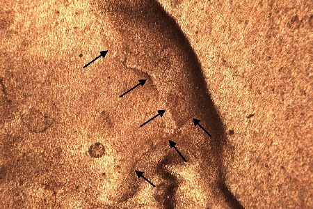 Image 9