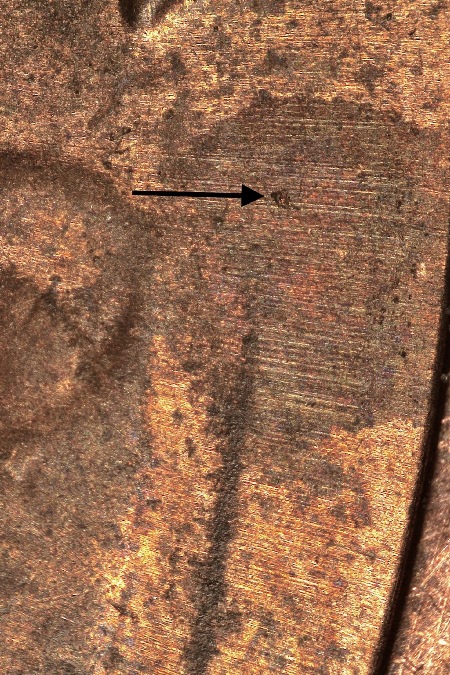Image 14