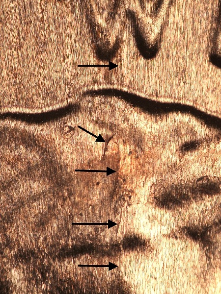 Image 9