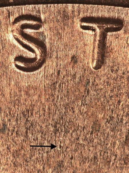 Image 11