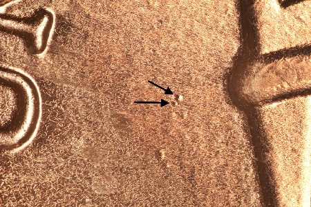 Image 9