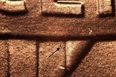 Image 13