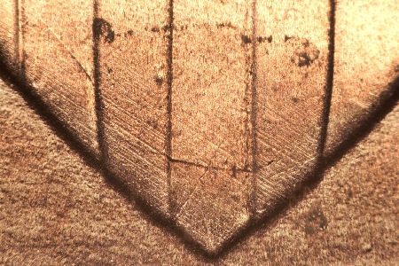 Image 15