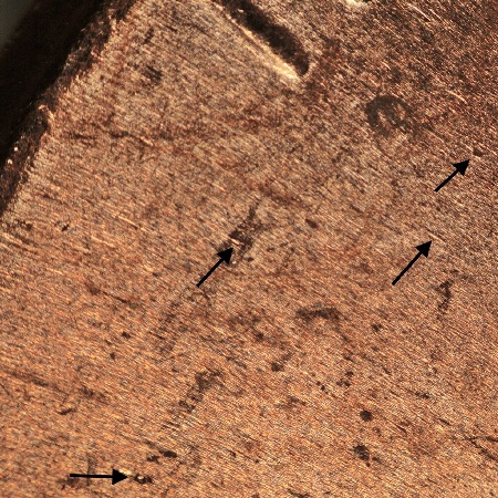 Image 10