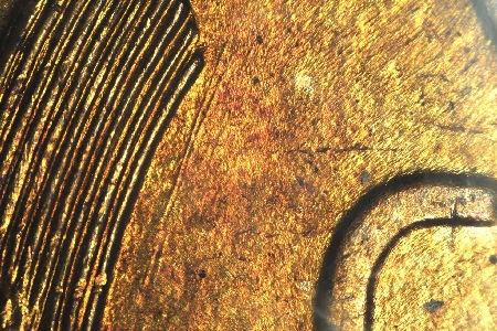 Image 18