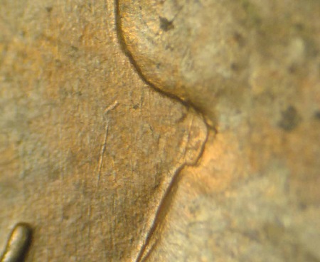 Image 13