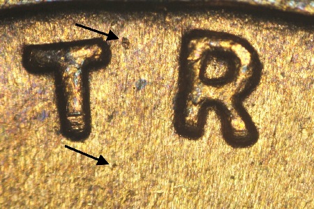 Image 13