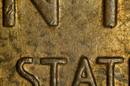 Image 15
