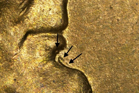 Image 13
