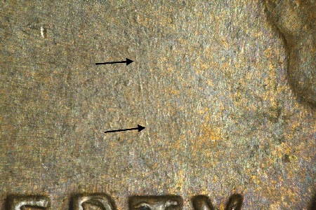 Image 13