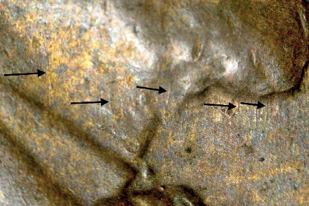 Image 14