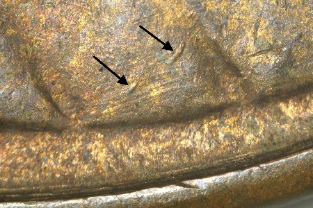 Image 15