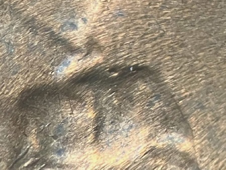 Image 13