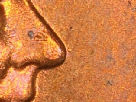 Image 15