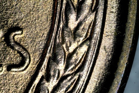Image 15