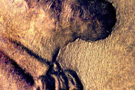 Image 13