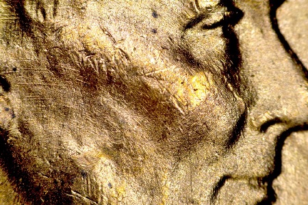 Image 15
