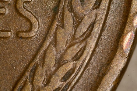 Image 15