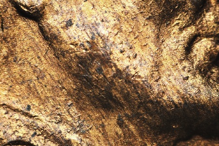 Image 18
