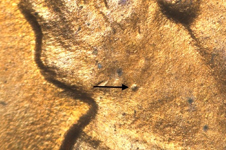 Image 14