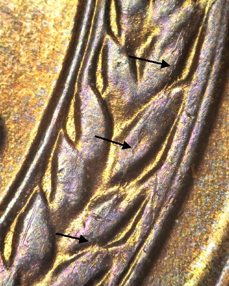 Image 14