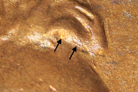 Image 19