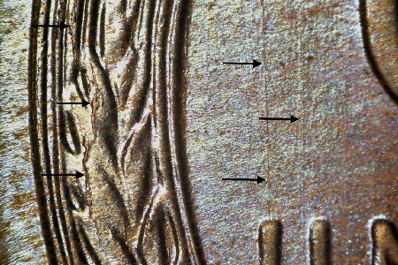 Image 24