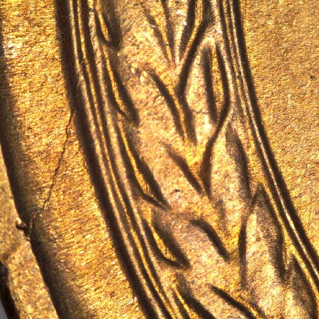 Image 14