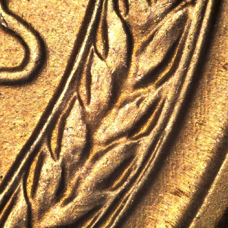 Image 15