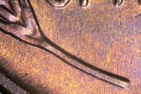 Image 22