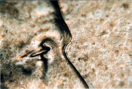 Image 13