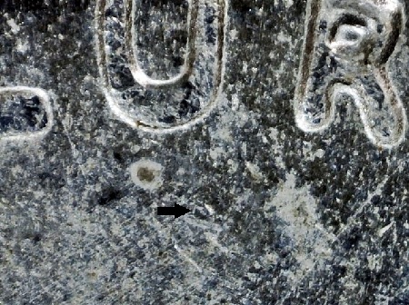 Image 23