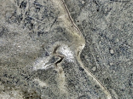 Image 14