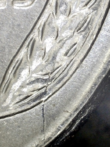 Image 14