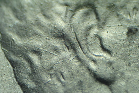Image 13