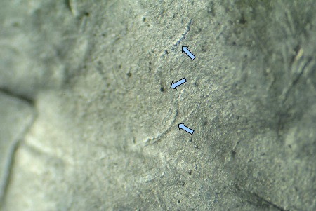 Image 14