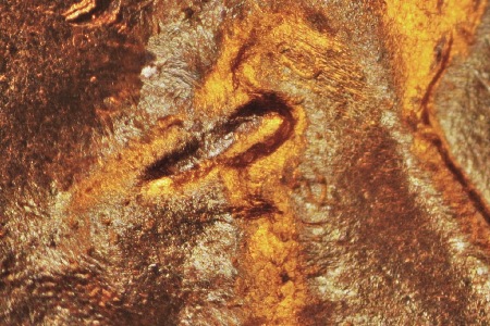 Image 13